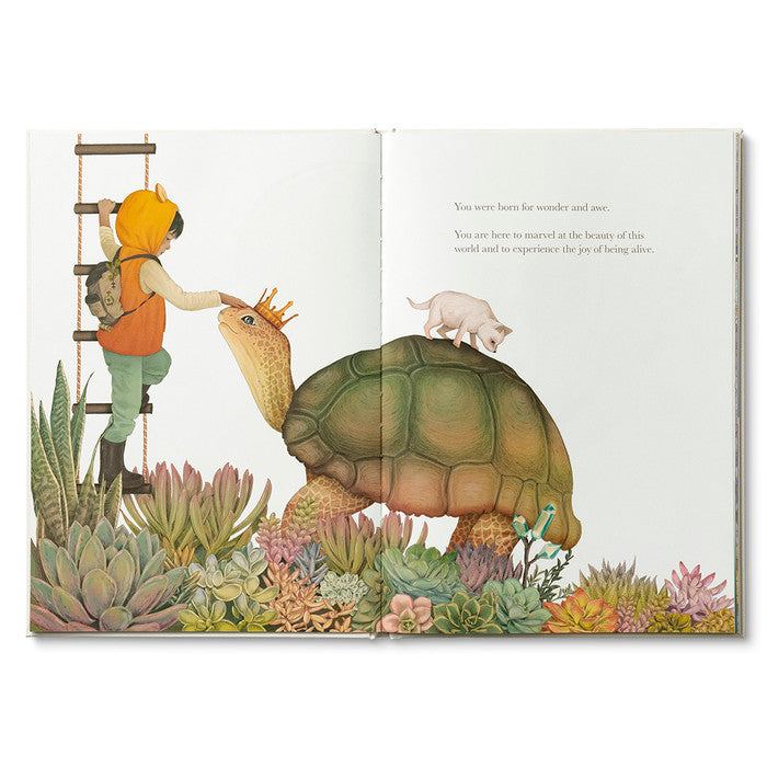 Why Not? A Story about Discovering Our Bright Possibilities