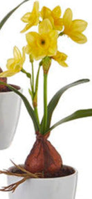 Real Touch Potted Daffodils