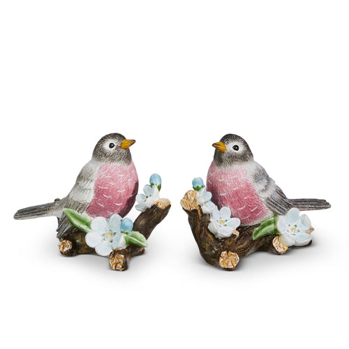 Robin On Apple Blossom Branch