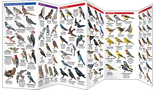 Oregon Birds: A Folding Pocket Guide to Familiar Species