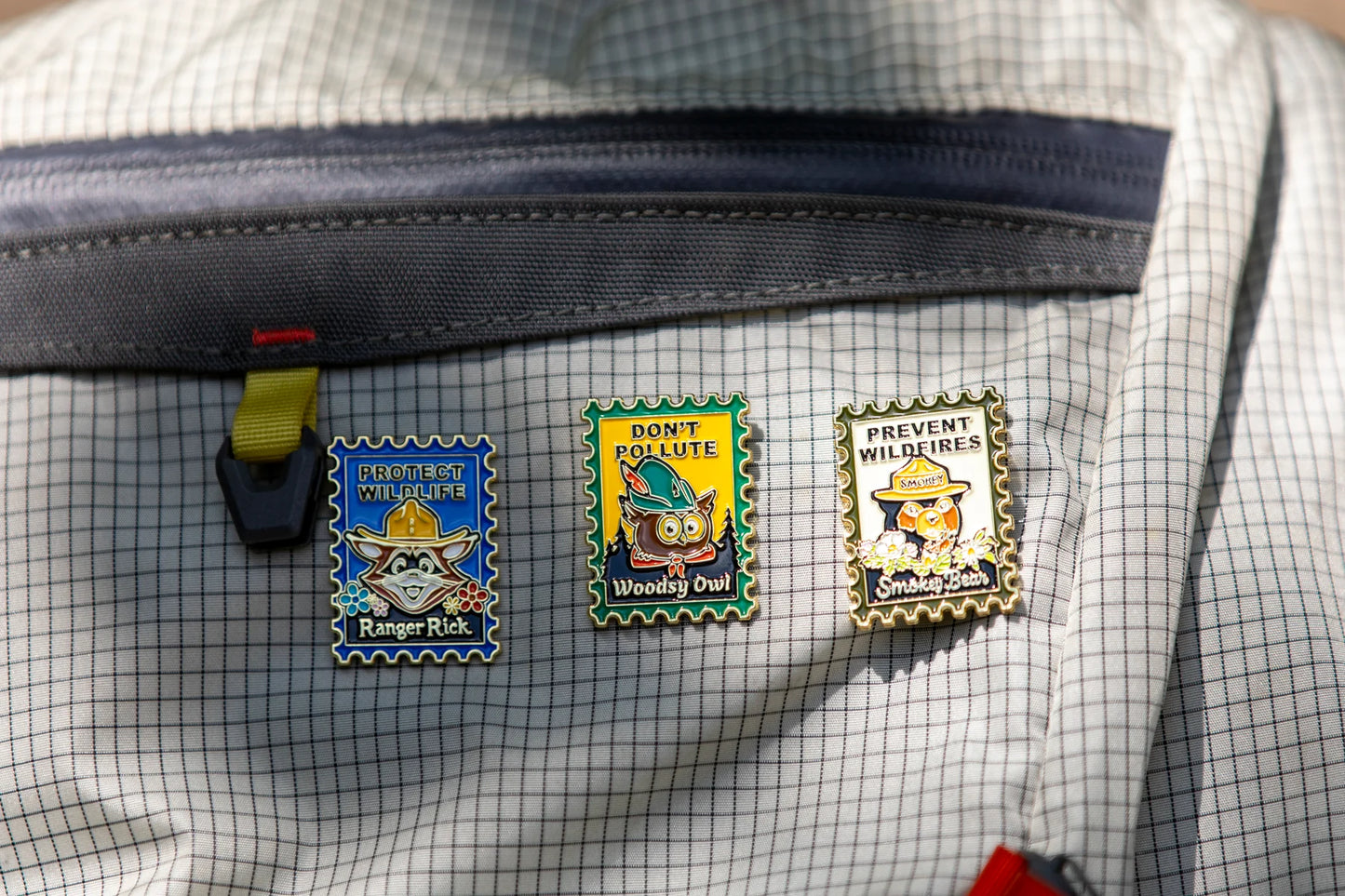 Woodsy Owl Postage Stamp Pin