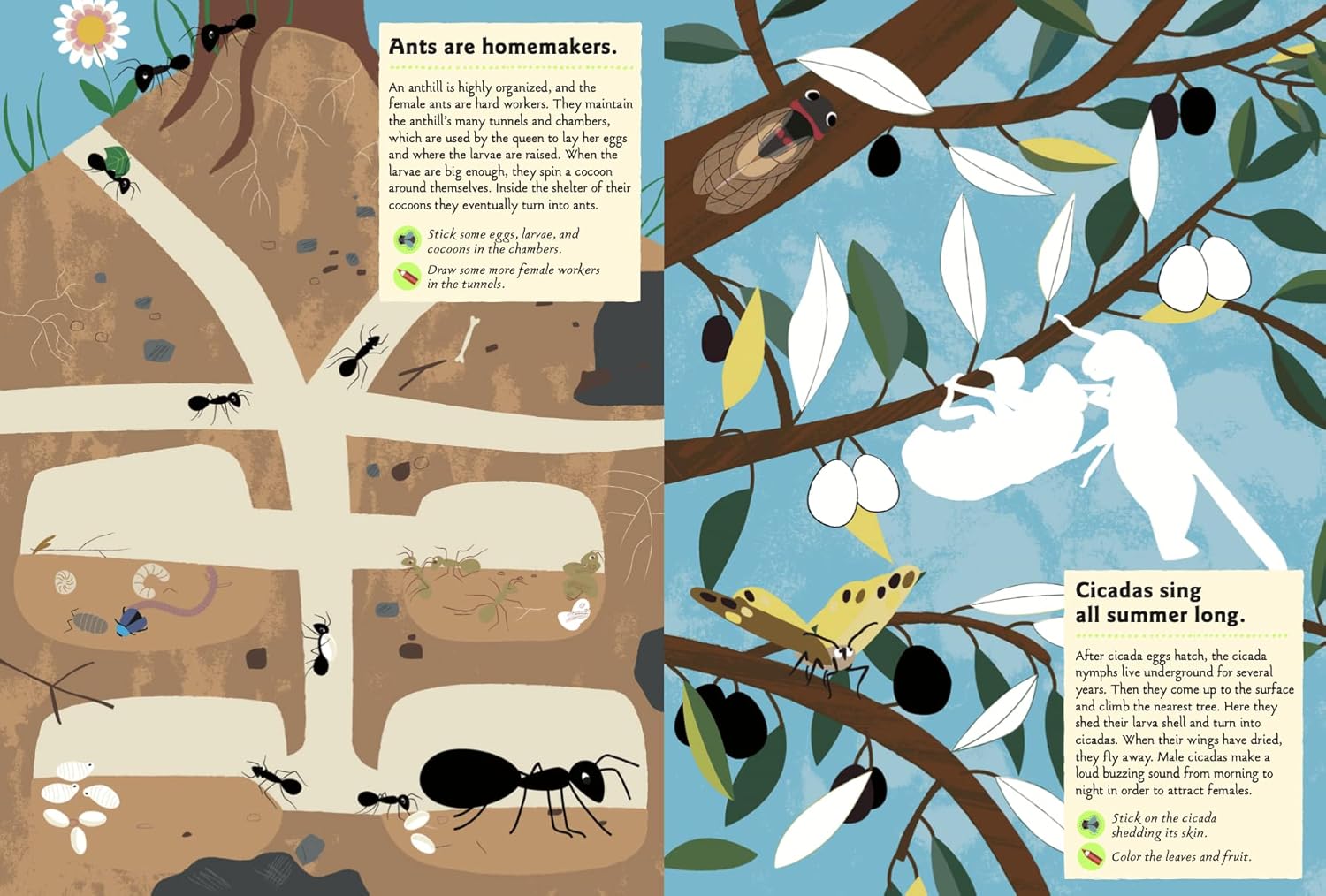 Garden Insects & Bugs (My Nature Sticker Activity Book Series)