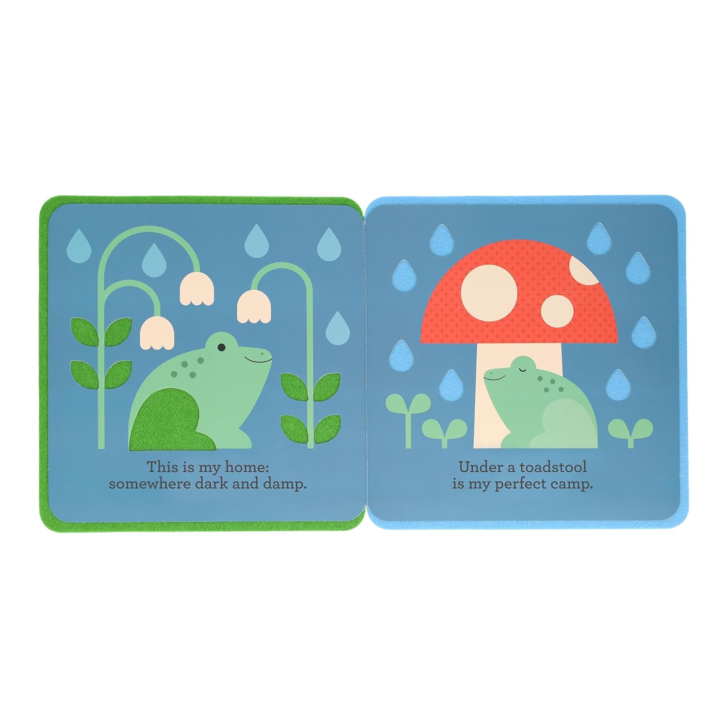 A First Felt Book: This Is My Home