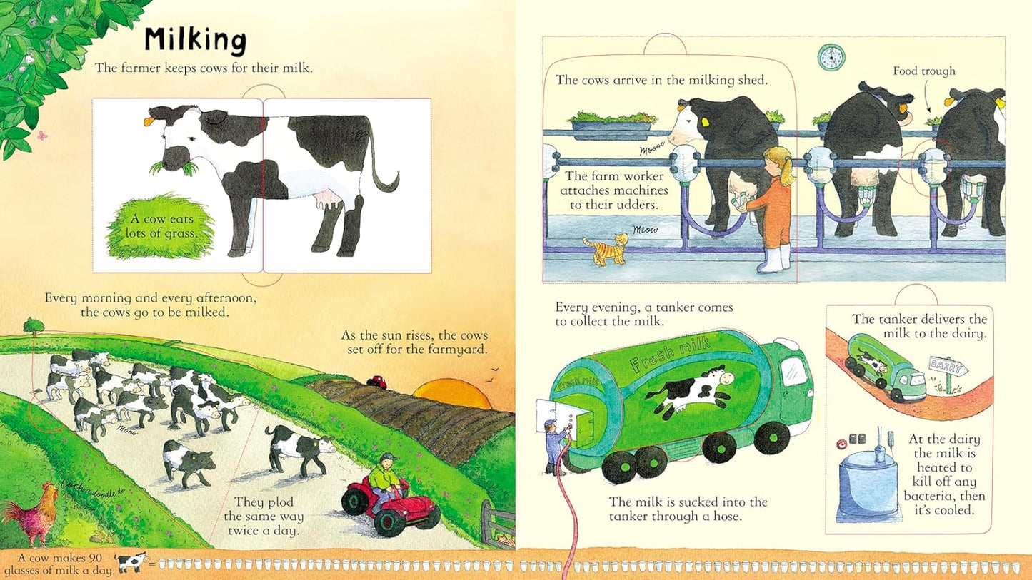 Look Inside a Farm: A Wonderful Lift-the-Flap Book About Animals and Seasonal Life for Kids
