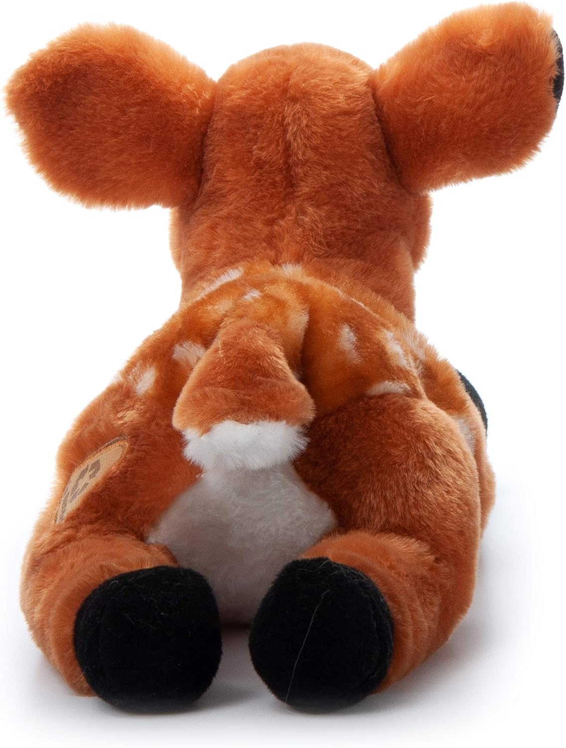 Wild Onez Fawn
