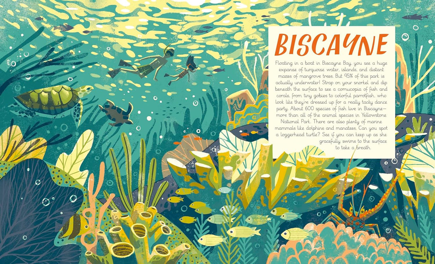 National Parks of the USA