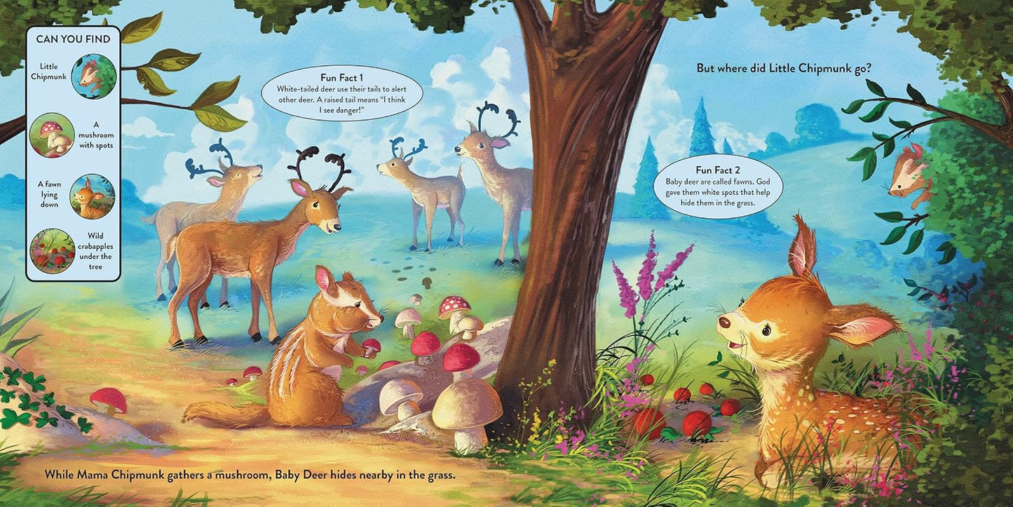 Let’s Learn About the Forest: A Seek-and-Find Story Through God’s Creation