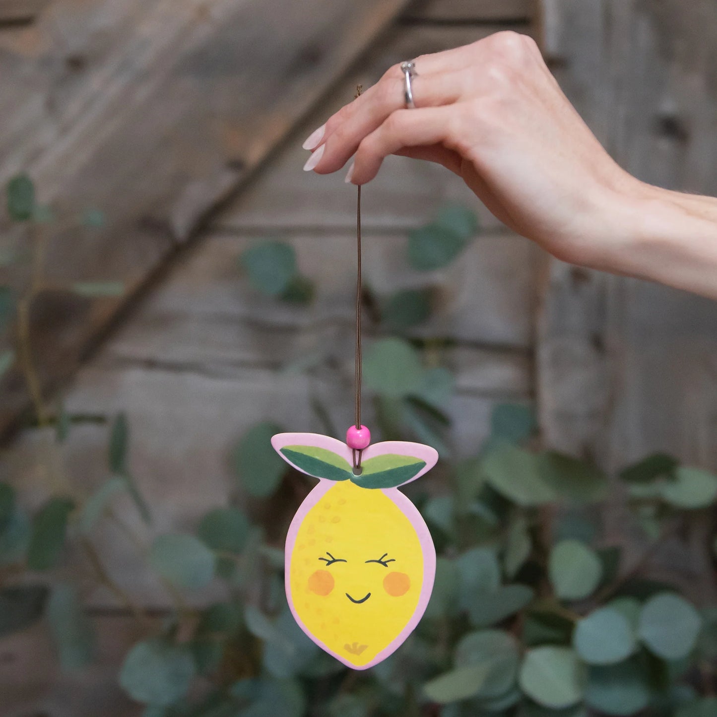 Citrus Bliss Car Air Freshener
