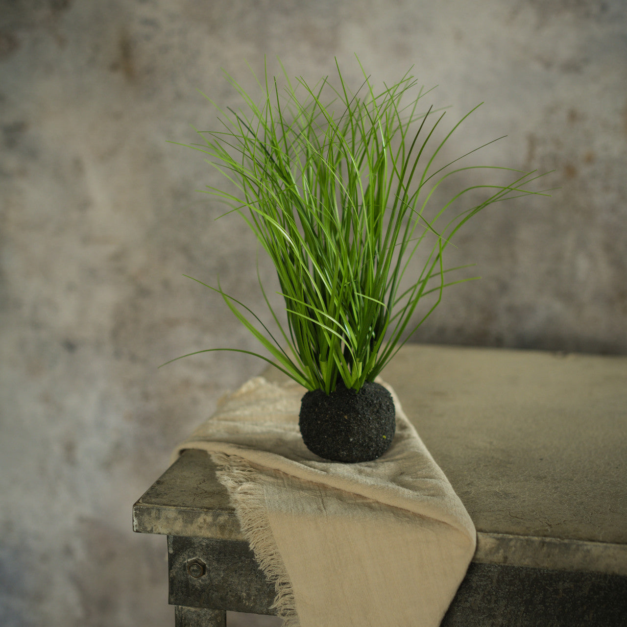 Wild Onion Grass Bulb