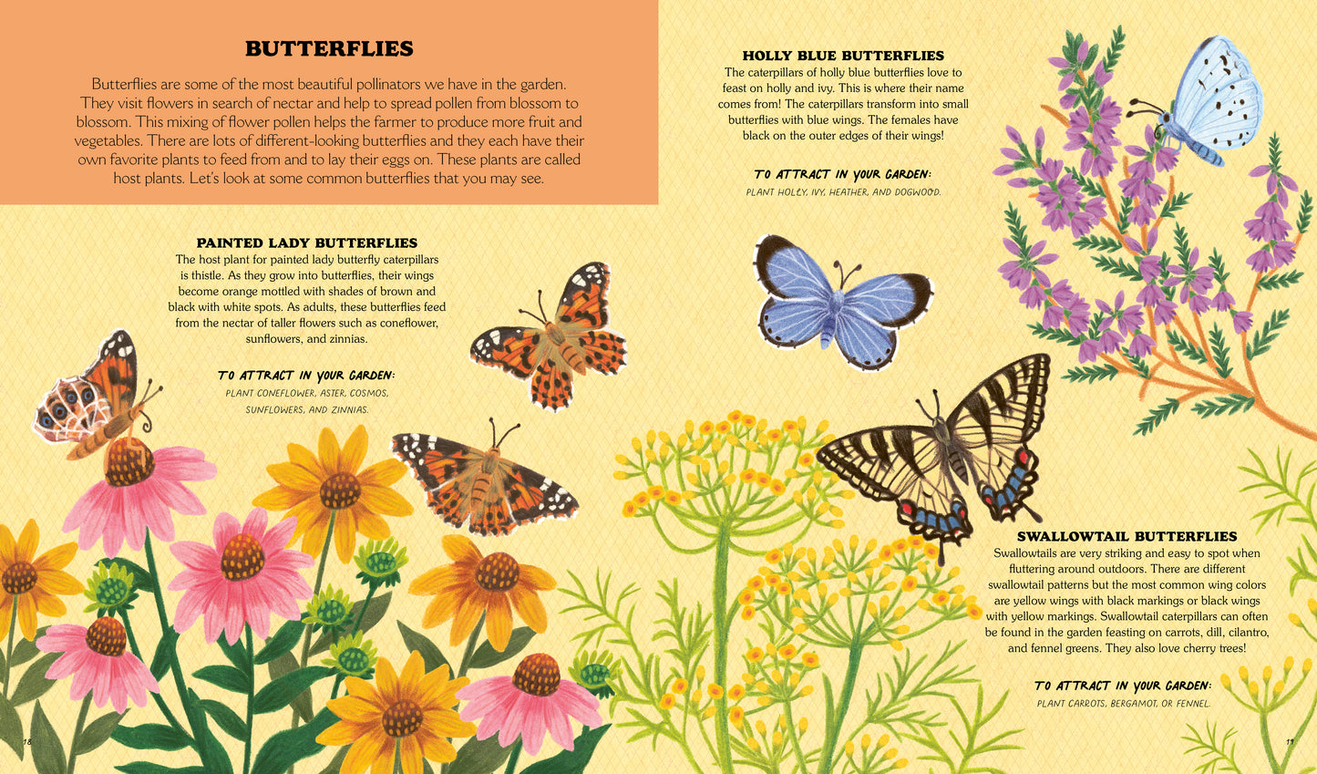 Little Homesteader: A Summer Treasury of Recipes, Crafts, and Wisdom