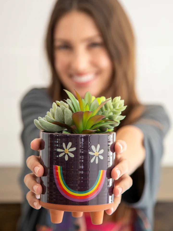 Artisan Terracotta Indoor Planter, Medium - Smiley