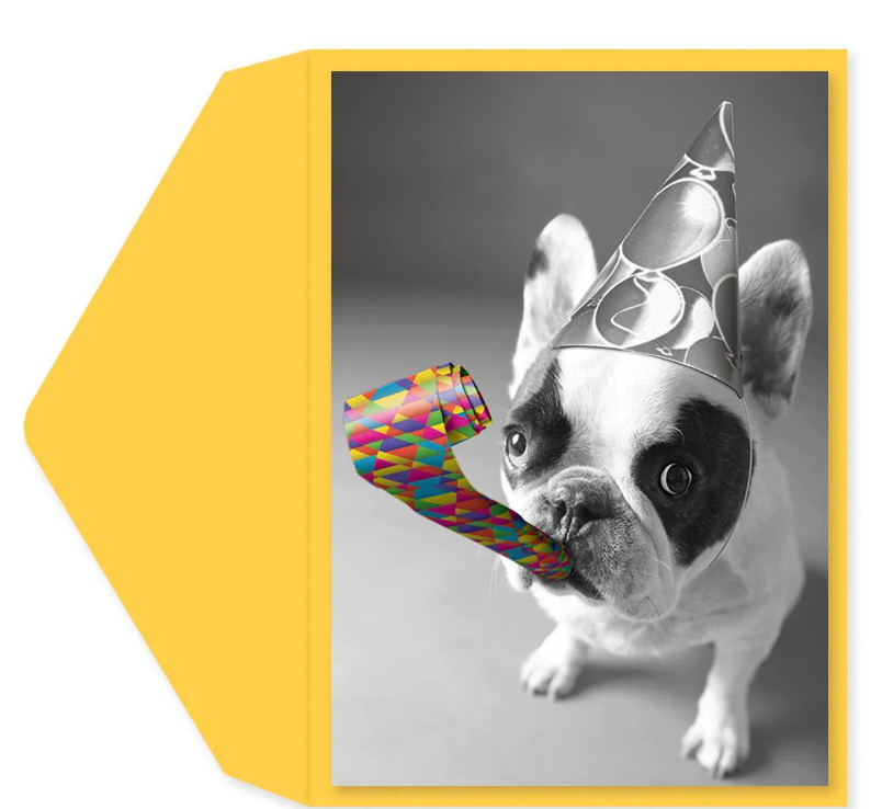 Party Bulldog Birthday Card