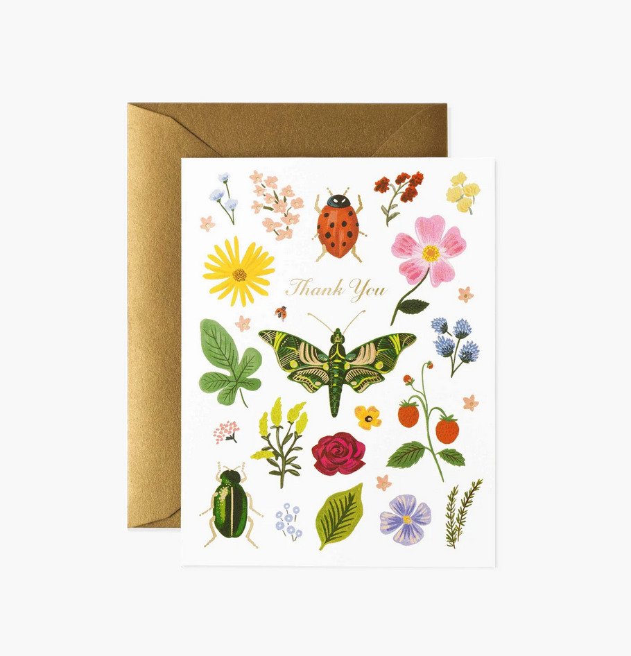 Boxed Set of Curio Thank You Cards