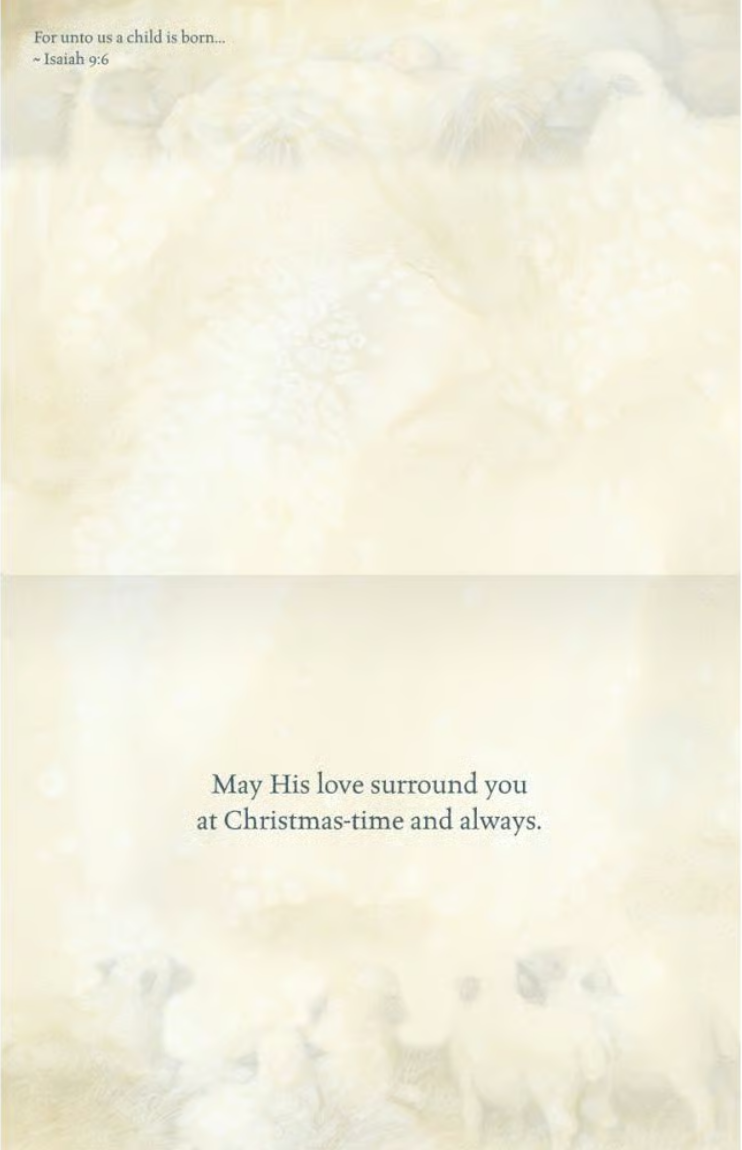 Nativity Assorted Boxed Christmas Cards