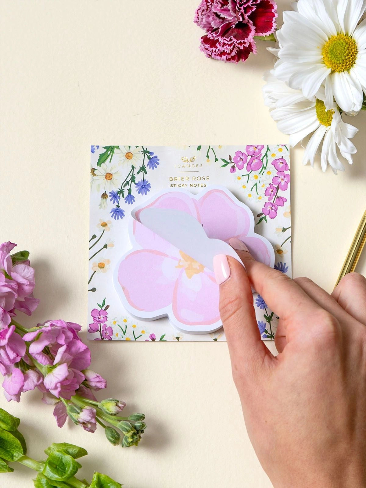 Vintage Blooms Brier Rose Sticky Notes