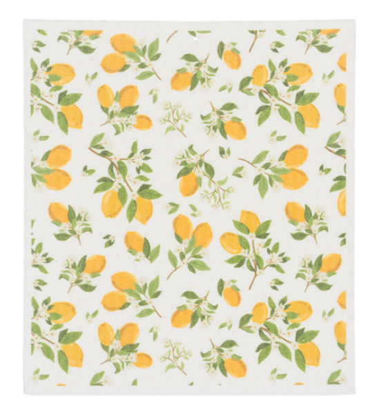 Fruit Reusable Dish Cloth