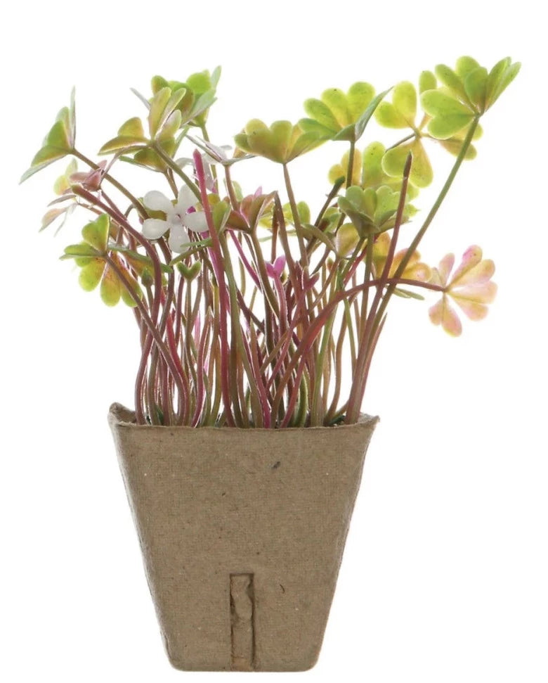 Faux Plants In Paper Pots