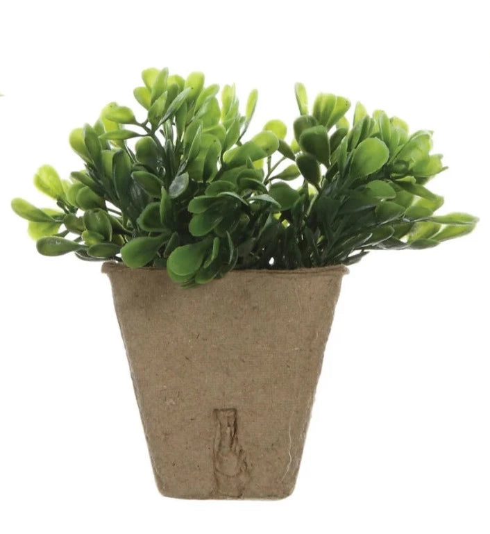 Faux Plants In Paper Pots