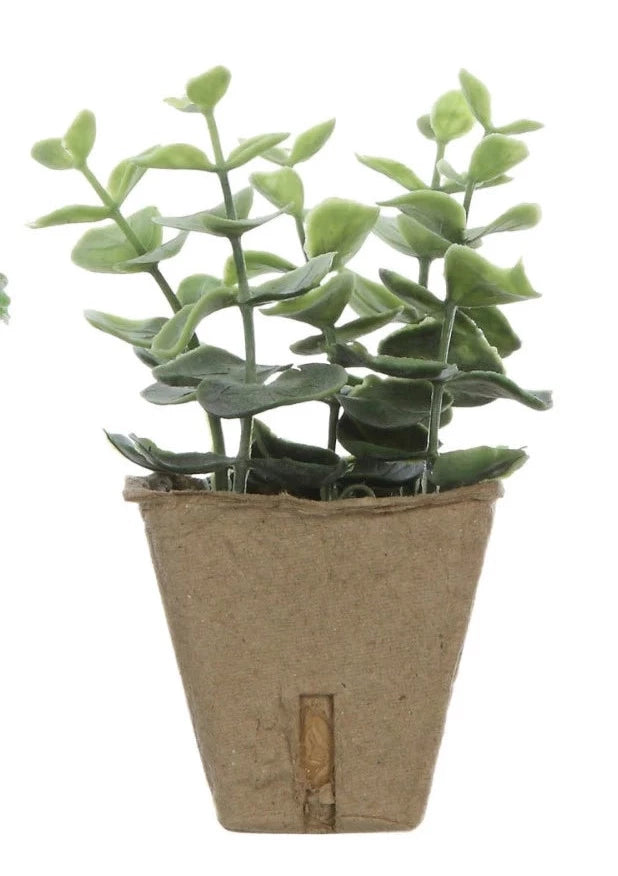 Faux Plants In Paper Pots