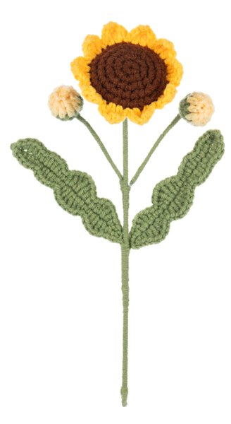 Crochet Flowers