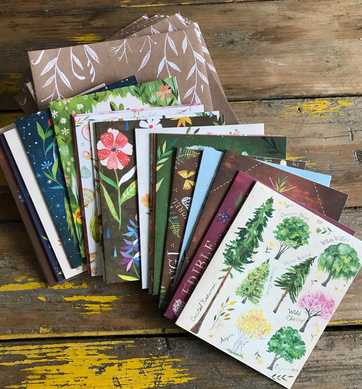 With Love, Adventure, and Wildflowers Notes