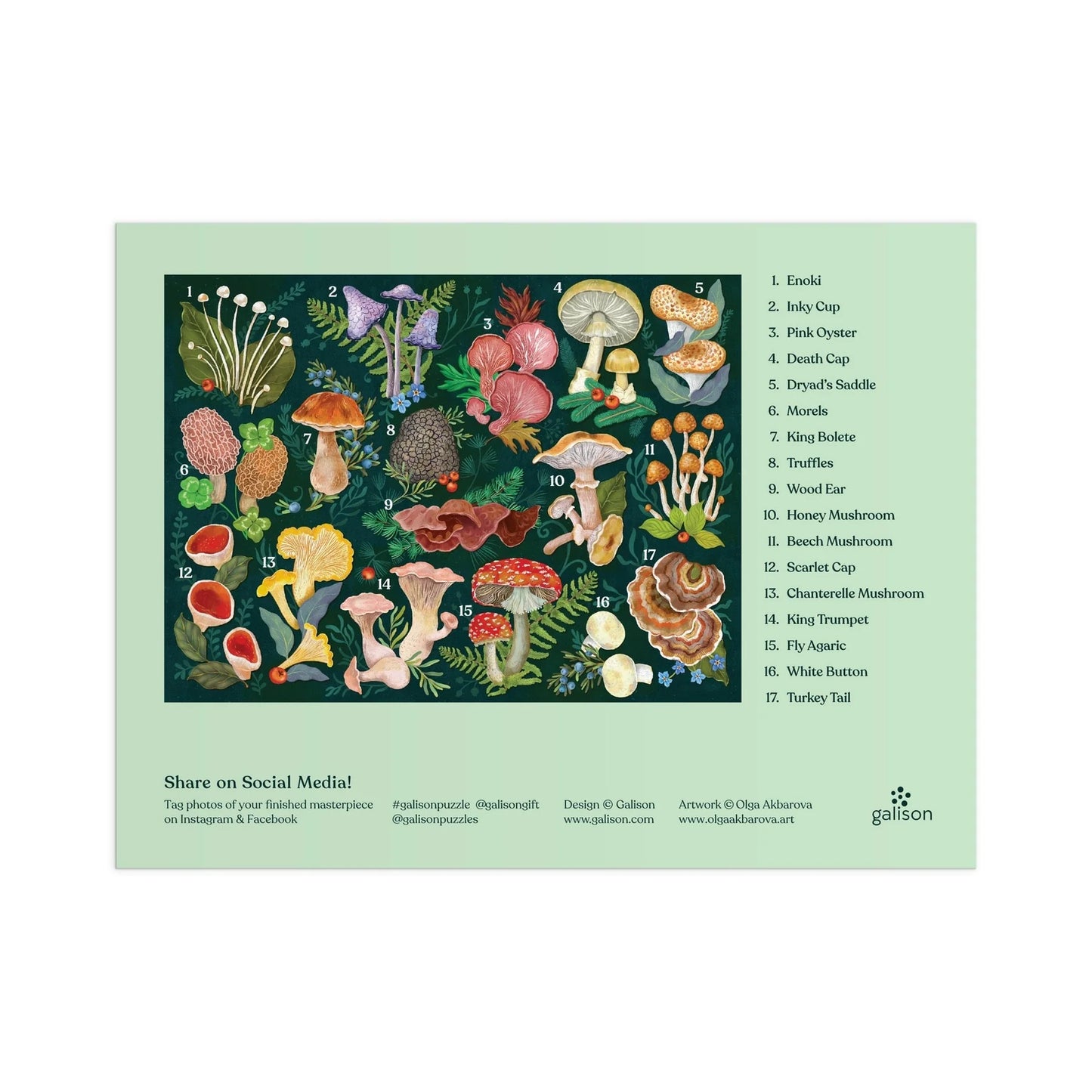 World Of Mushrooms Puzzle