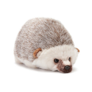 Small Hedghog