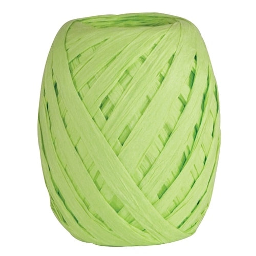 Raffia Egg Kiwi