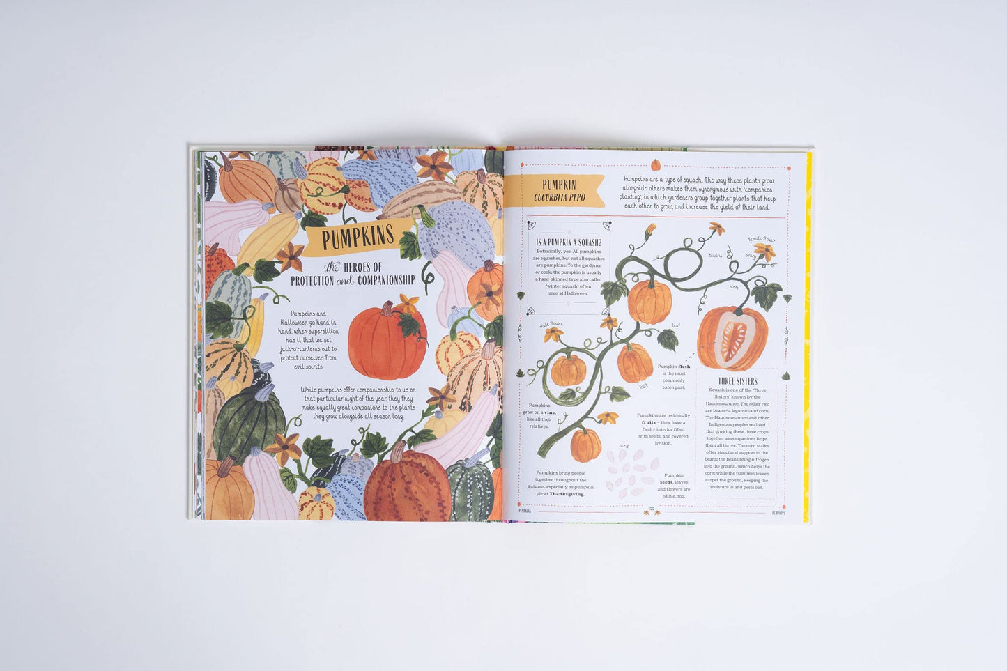 Grow: A Family Guide to Plants and How to Grow Them