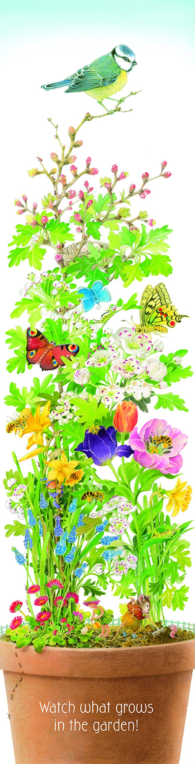 In the Garden Board Book