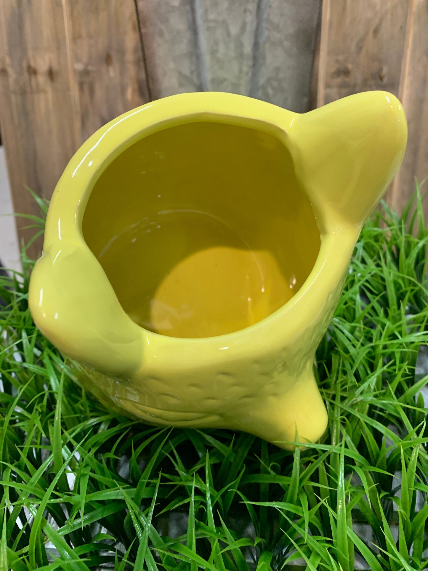Cute accent piece for a sweet little springtime plant!