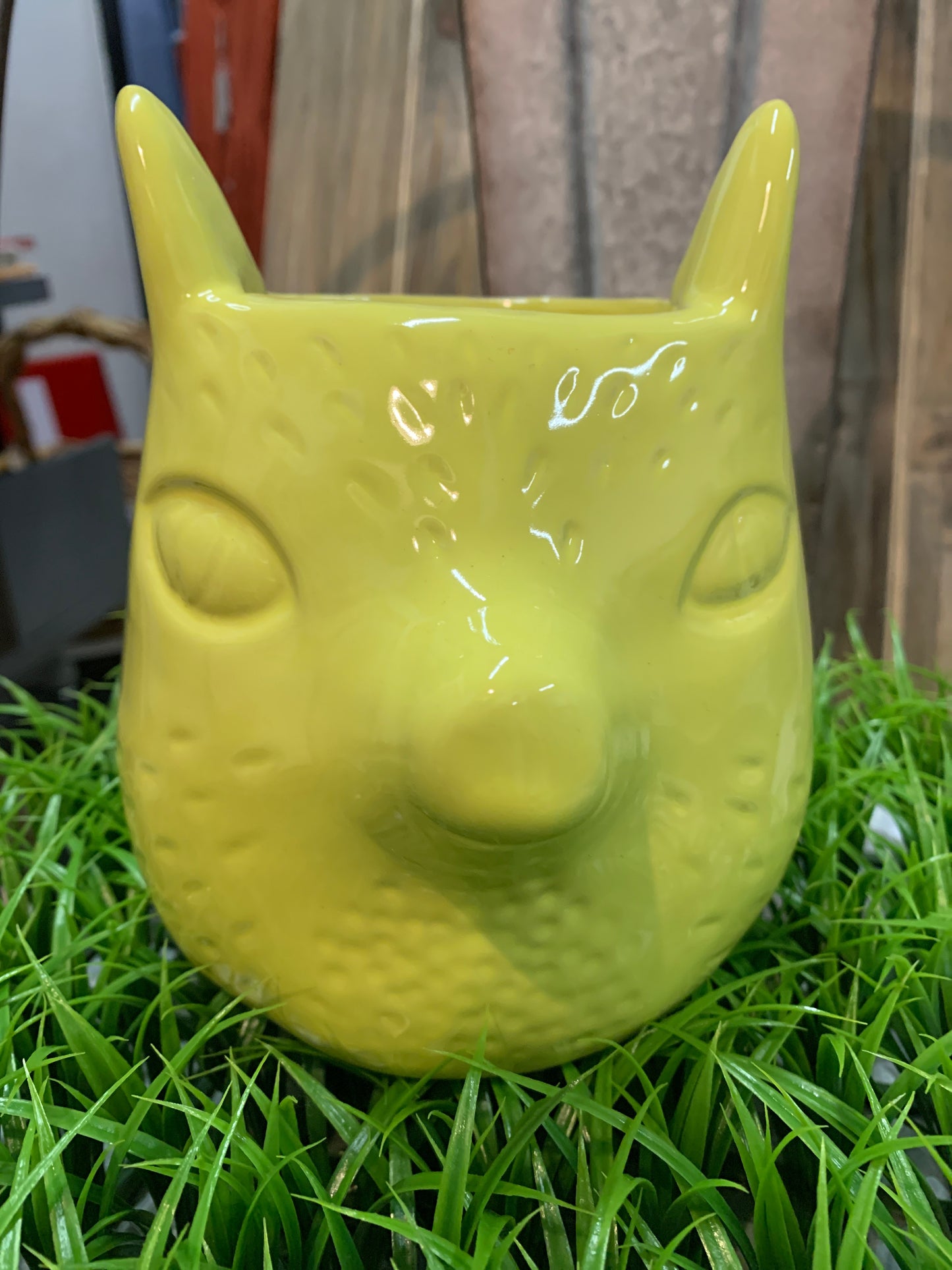Cute accent piece for a sweet little springtime plant!