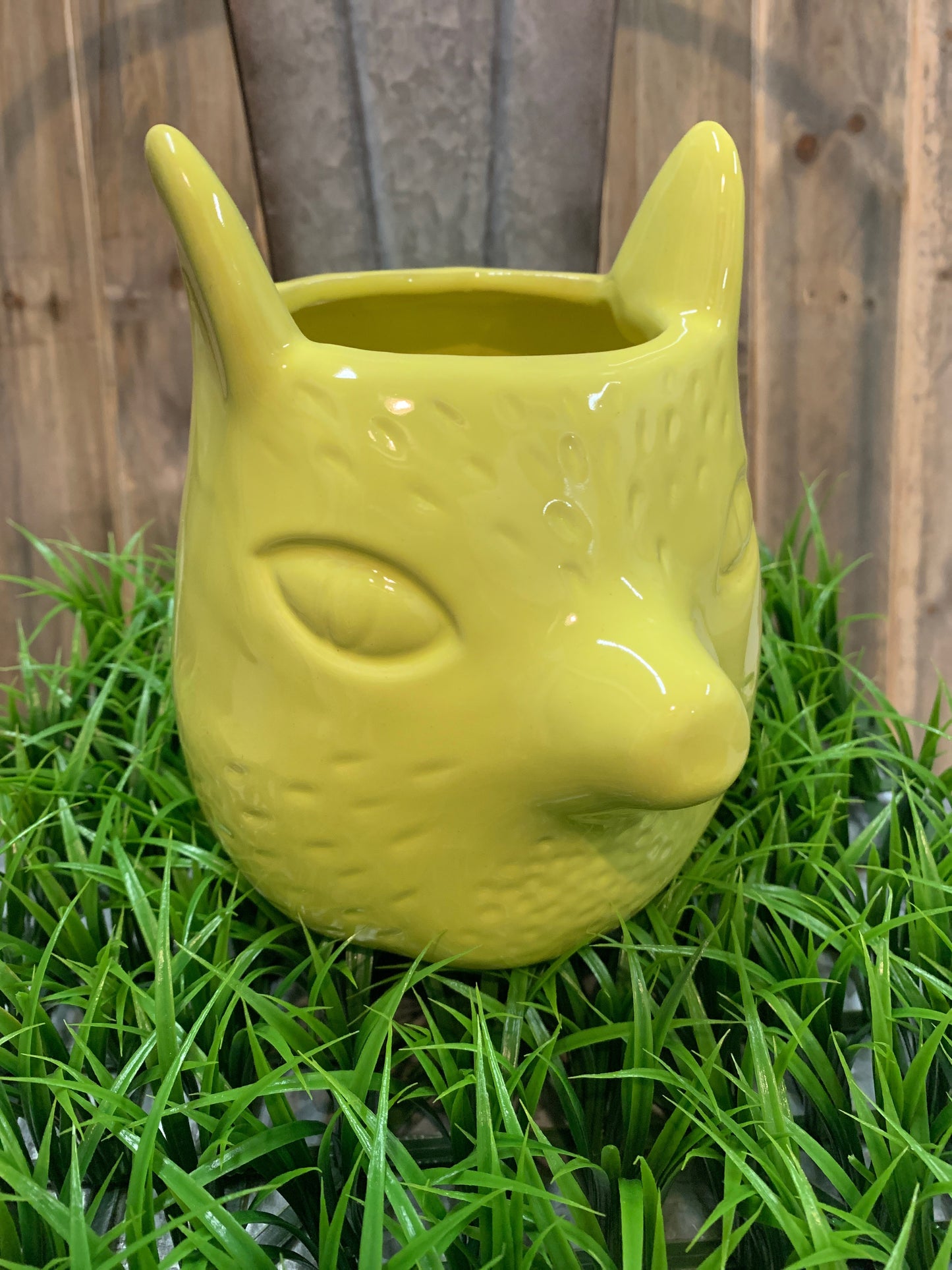 Cute accent piece for a sweet little springtime plant!
