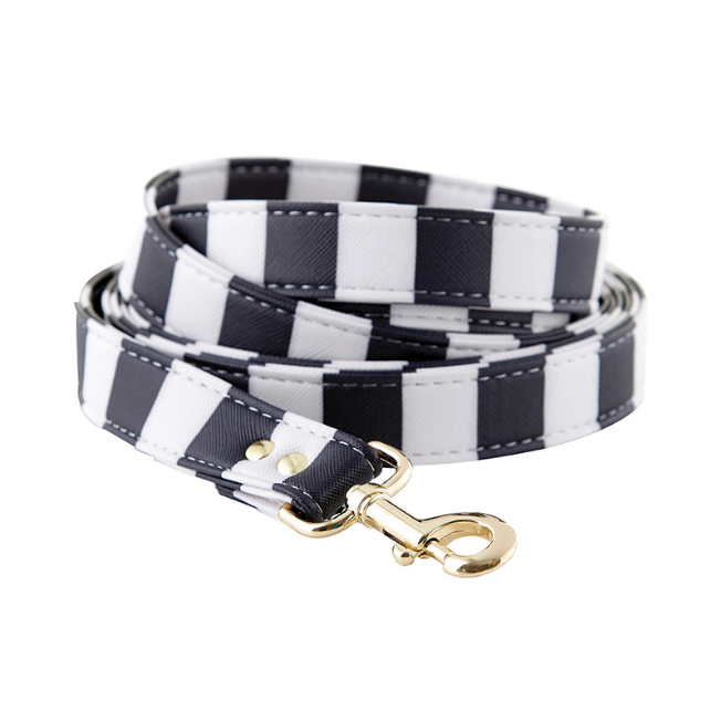 Pet Leash