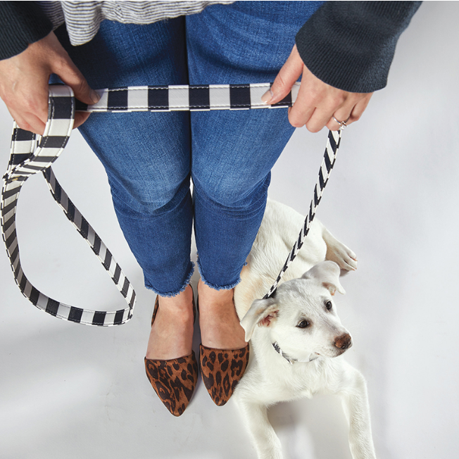 Pet Leash
