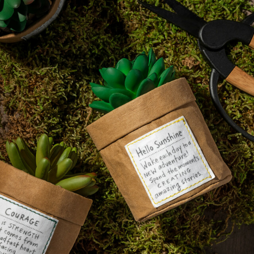 Plant Kindness - Sunshine