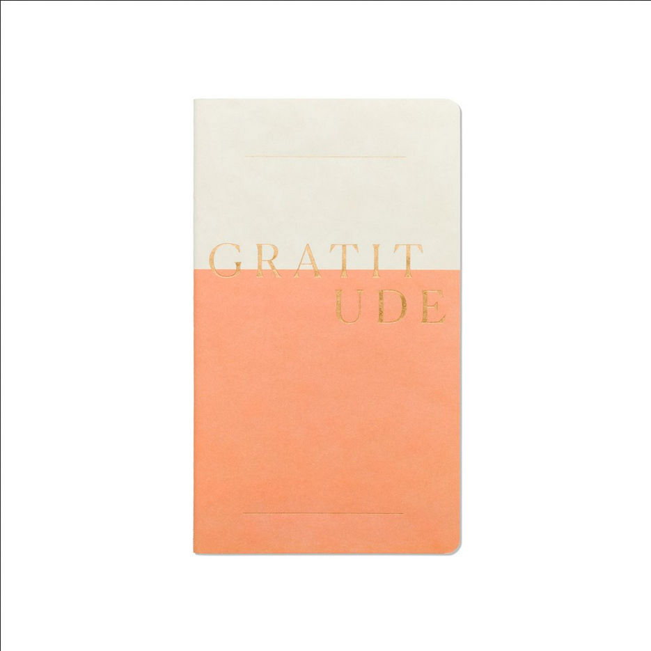 Wellness Goals Journals 3 Pack