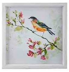 Framed Bird Prints