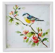 Framed Bird Prints