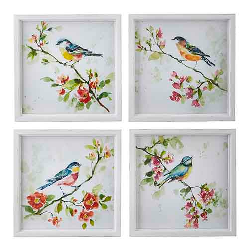 Framed Bird Prints