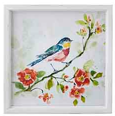Framed Bird Prints