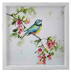 Framed Bird Prints