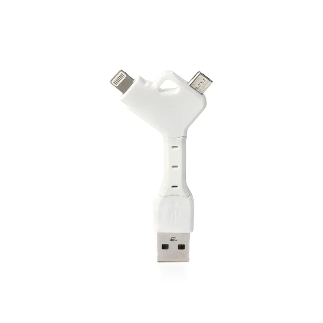 2 In 1 USB Keychain