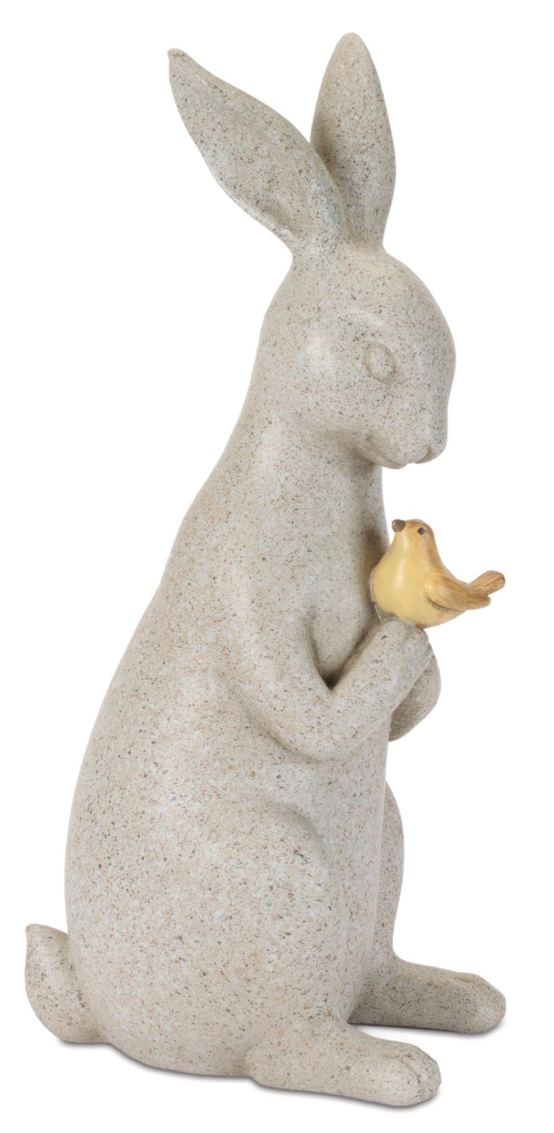 Rabbit With Bird