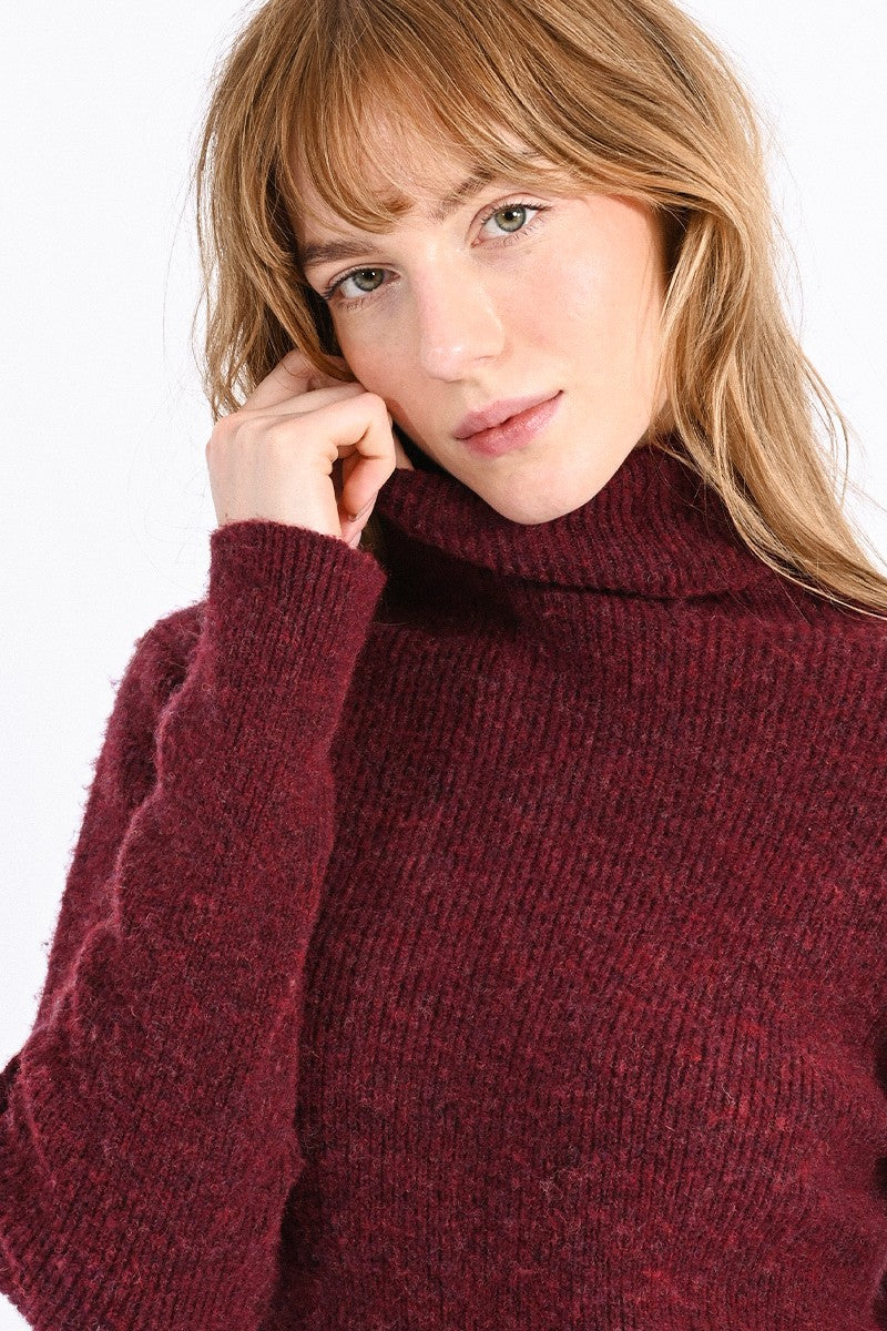 Molly Bracken Turtleneck Sweater