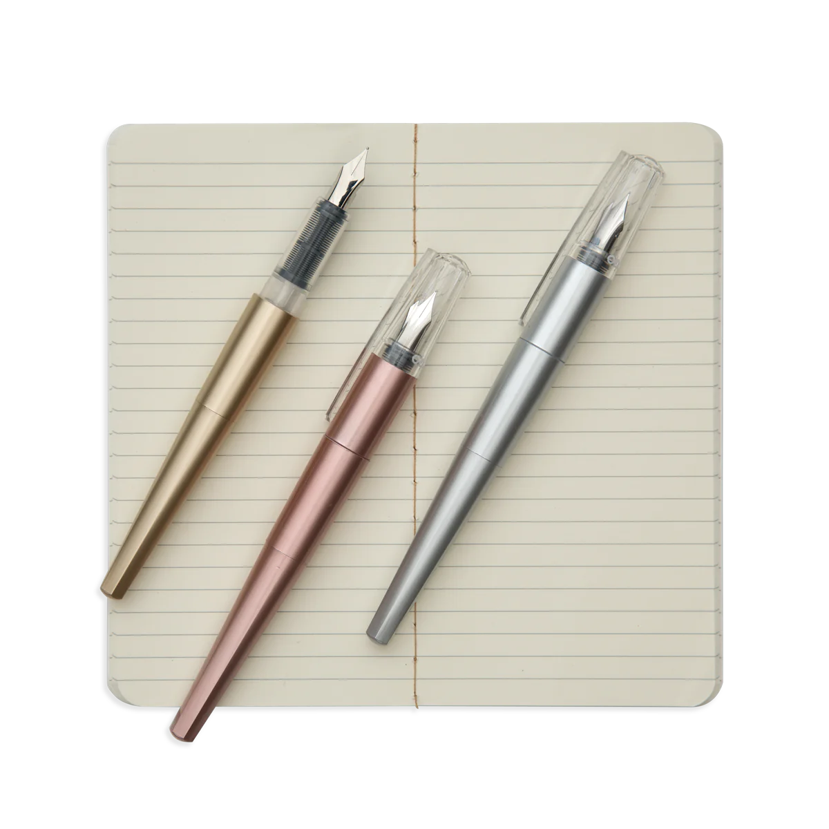 Modern Script Fountain Pens and Journal