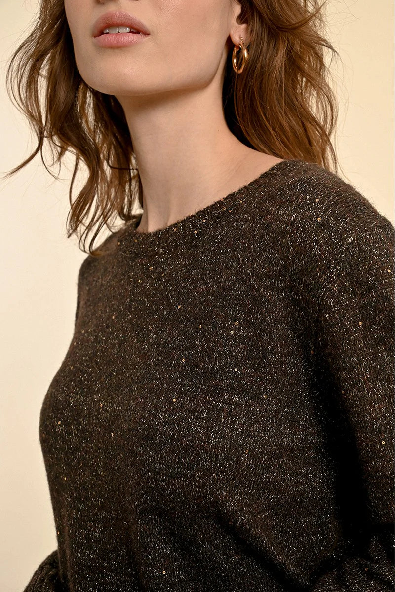 Molly Bracken Iridescent Knit Sweater