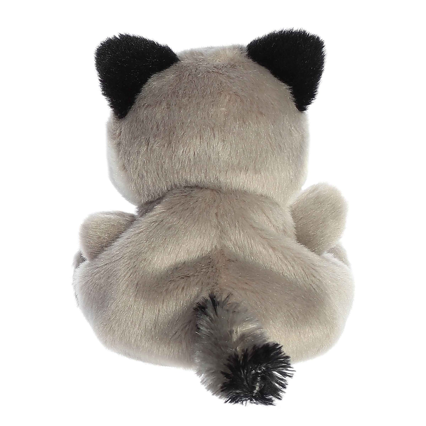 Aurora - Palm Pals - 5" Rascal Raccoon