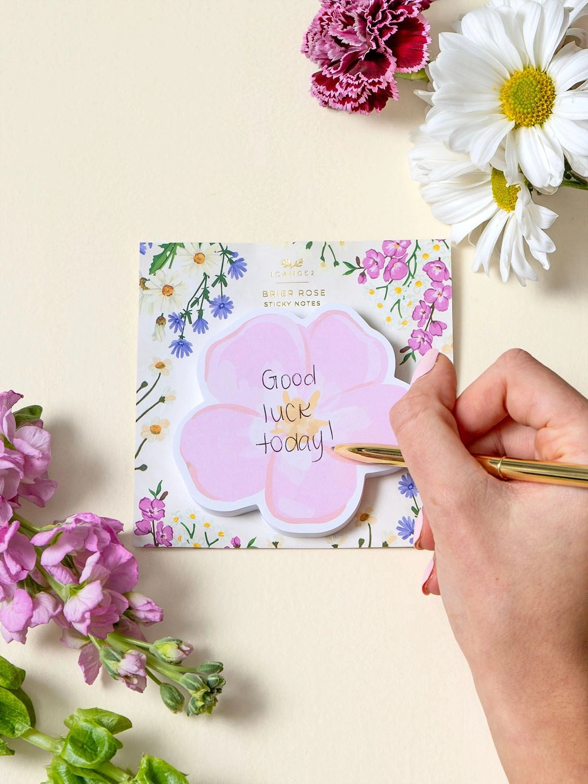 Vintage Blooms Brier Rose Sticky Notes