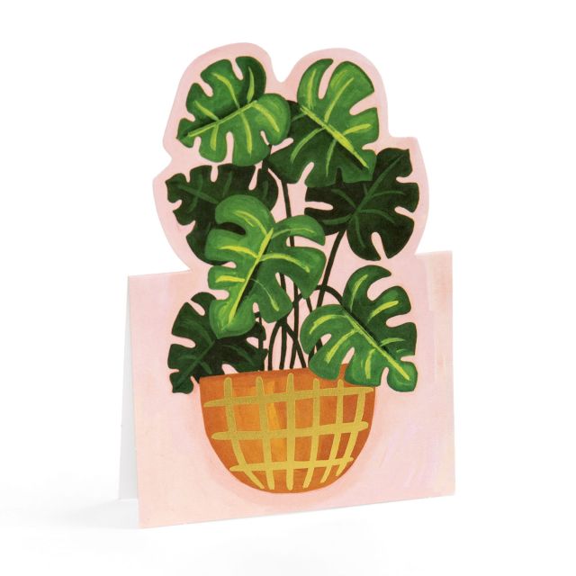 Potted Plants Pop-Up Greeting Card Box Set